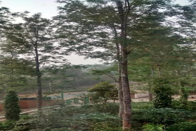 Nikhara Estate Resorts Kodlipet Dış mekan fotoğraf